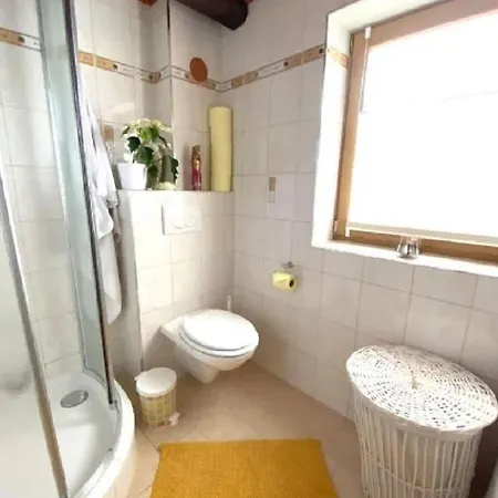 Apartment Andi's Berghuette