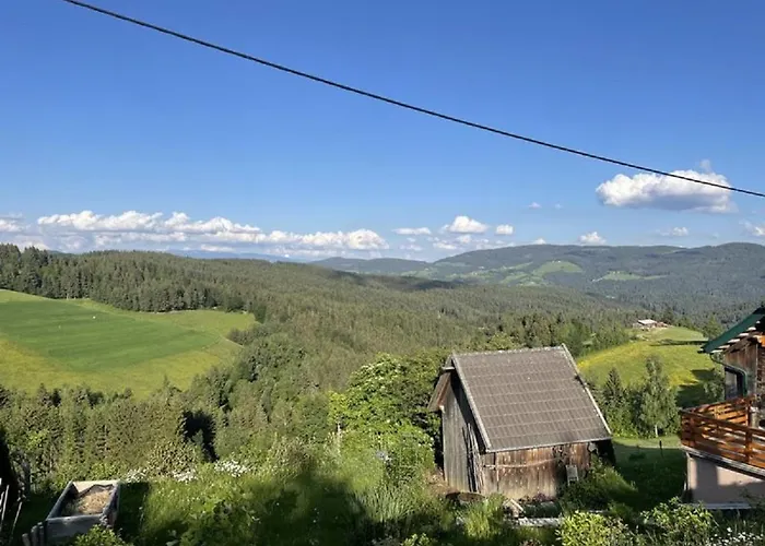 Andi's Berghuette Apartament