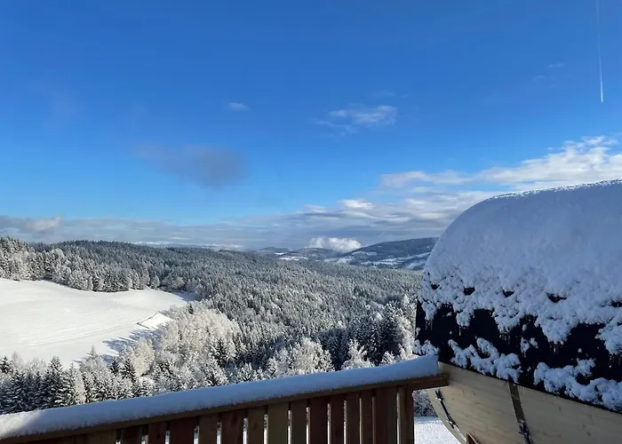 Andi's Berghuette Apartament Weitensfeld