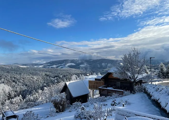 Apartament Andi's Berghuette Weitensfeld